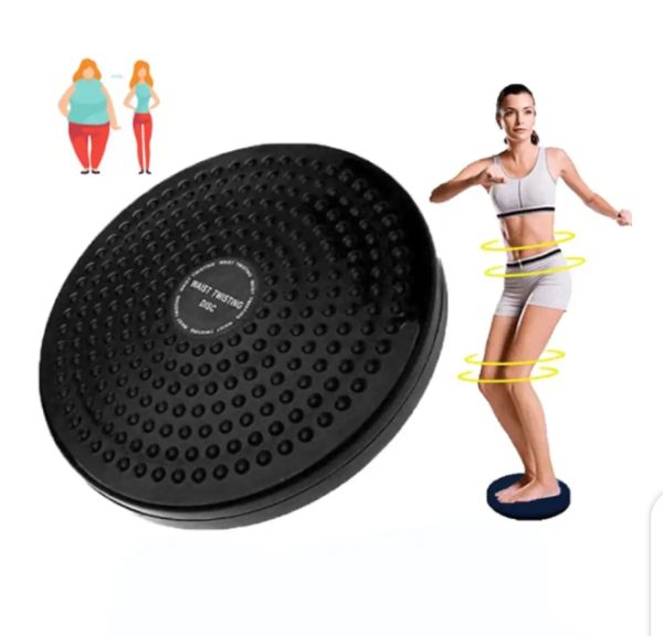 Twister Disc, Weight Loss, Weight Loss Machine / Ab Twister & Plate, Exercise Fitness Slim Machine Plate.
